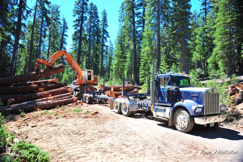 RJH_4192.JPG - Our day got off to a rocky start... a logging truck and loader were blocking our path to Coyote Meadow Trailhead.   But the guys were nice enough and said they'd move once they had finished loading.  So we ate lunch and watched the entire spectacle.