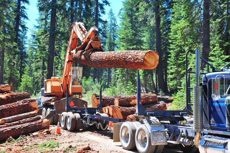 RJH_4194.JPG - I was amazed at how easily the claw thingy handled the logs.