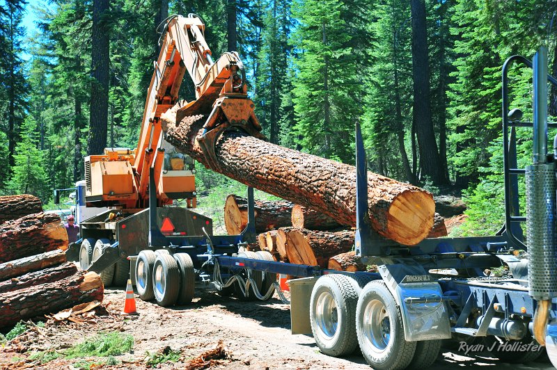 RJH_4195.JPG - And down she goes.  After nearly 30 minutes the tuck left and the loader moved.
