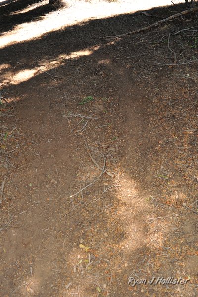 RJH_4203.JPG - The curve on the right of the trail is a doggone dirtbike track made by someone illegally riding in the wilderness.