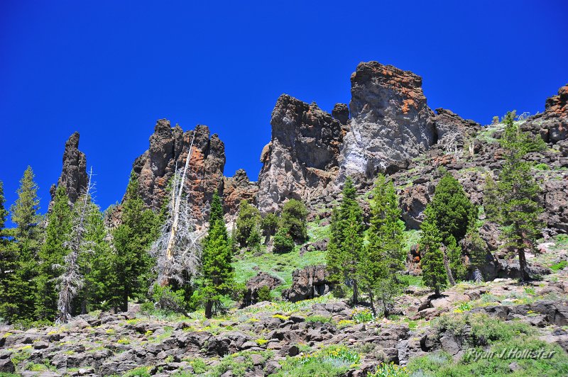 RJH_4205.JPG - The ~9.2 myo volcanic lahars of the Relief Peak and Disaster Peak formations.