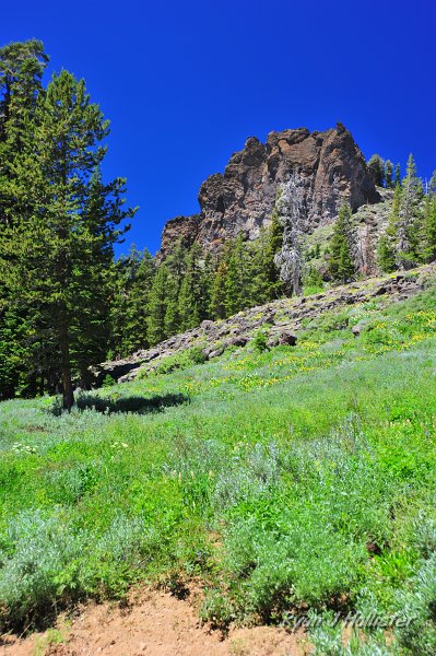 RJH_4206.JPG - Ridge of lahar.