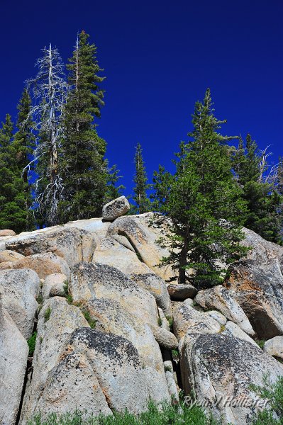 RJH_4237.JPG - Bummers Flat Granodiorite.