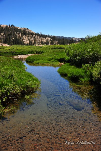 RJH_4249.JPG - South Fork of the Stanislaus in Cooper Meadow.