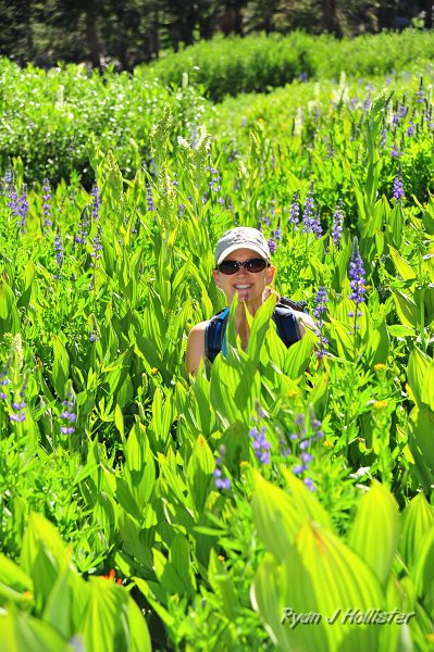 RJH_4252.JPG - Laura in the lupine.
