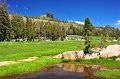 RJH_4227