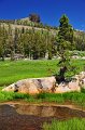 RJH_4228