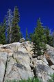 RJH_4237