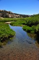 RJH_4249
