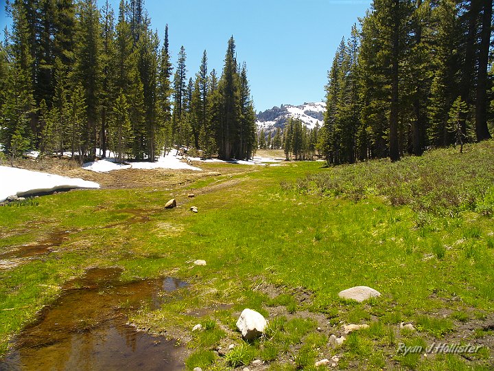 _6199719.JPG - A look at the meadow from the begining of our hike.  There was no trail... it was a cross country route that I had discovered in a hiking book.