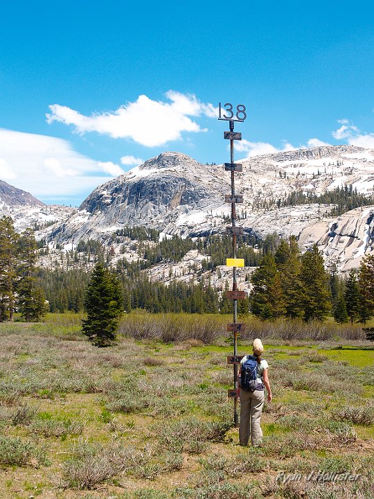 _6199742.JPG - I'm not 100% sure what this is, but my guess is that it's a snow survey site (#138).