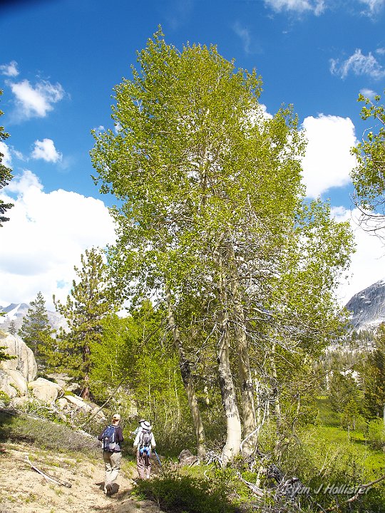 _6199777.JPG - We took a longer, yet quicker trail on the way back to prevent tons of bushwhacking.