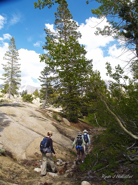 _6199778.JPG - Relief Valley Trail.