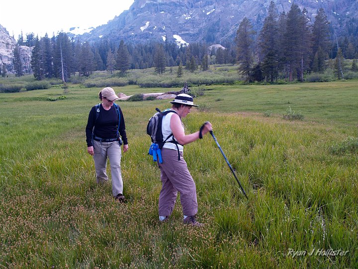 _6199783.JPG - Waterproof boots are amust for early season hiking.  Normally crossing wet meadows is frowned-upon, but we had no other way out.