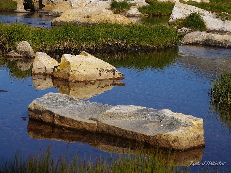 20090816_20_Lakes_Basin_0375.JPG - Up close & personal.