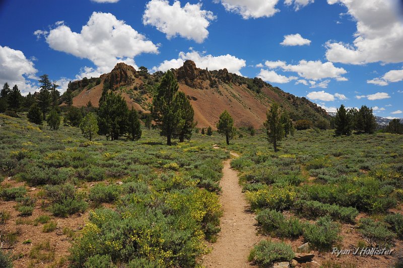 RJH_3027.JPG - The start of the hike to Roosevelt & Lane lakes.  Trailhead is at Leavitt Meadows.  The hill in front of us is part of the Relief Peak Formation which is about 19Ma (million years old).  The Relief Peak FMT consists of awesome lahars (volcanic mudflows) and breccia.