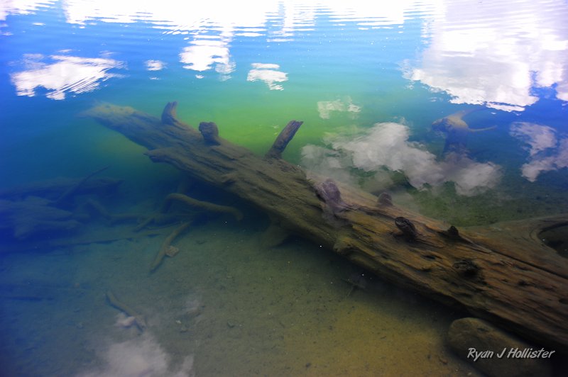 RJH_3058.JPG - psychedelic