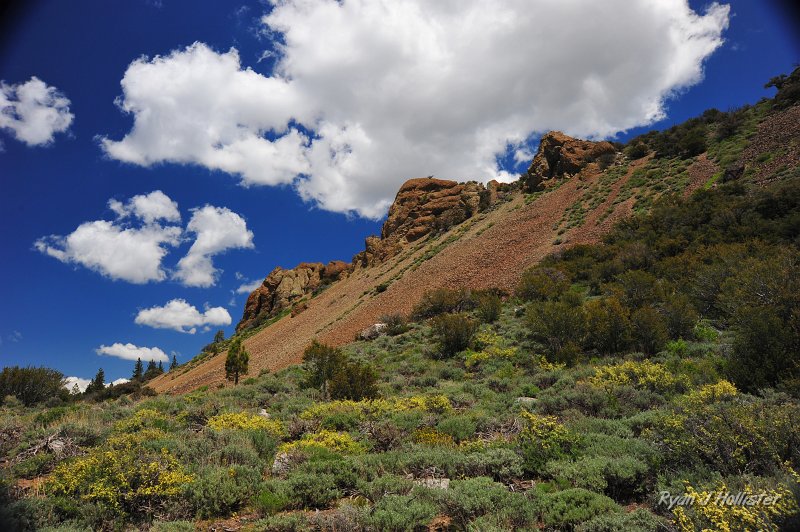 RJH_3029.JPG - Another look at the Relief Peak Formation.