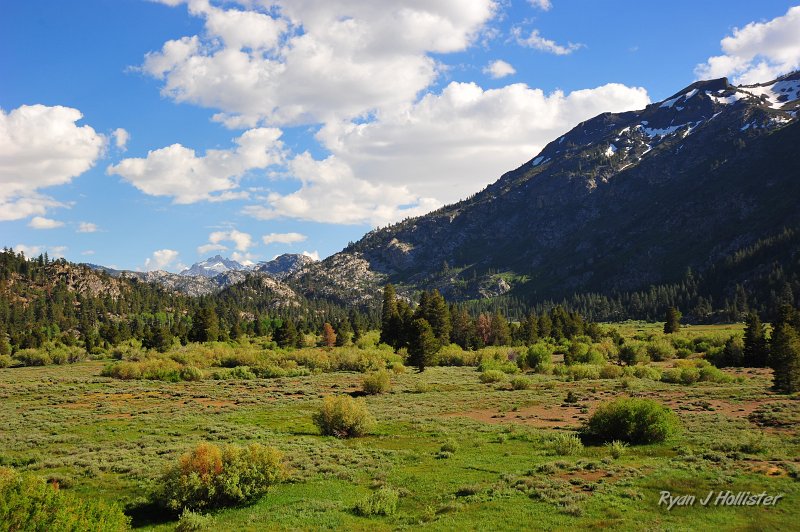 RJH_3065.JPG - Late afternoon light was nice on the Sawtooths WAAAAY in the background.