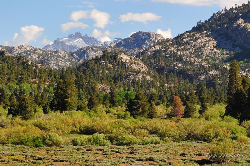 RJH_3068.JPG - Closer shot of the Sawtooths.