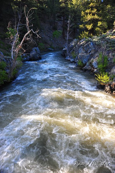 RJH_3071.JPG - West Walker River at the footbridge.  The gorge is made of Jurassic-aged metamorphic rocks.