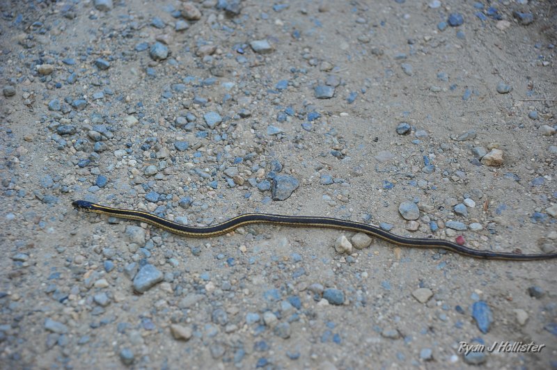 RJH_3074.JPG - We ended out hike with a hissy fit.