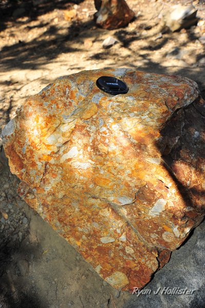 RJH_4168.JPG - A very interesting piece of meta-conglomorate.  It looks as if pebbles of volcanic origin were encased in an ash or mud flow and subsequently metamorphosed.