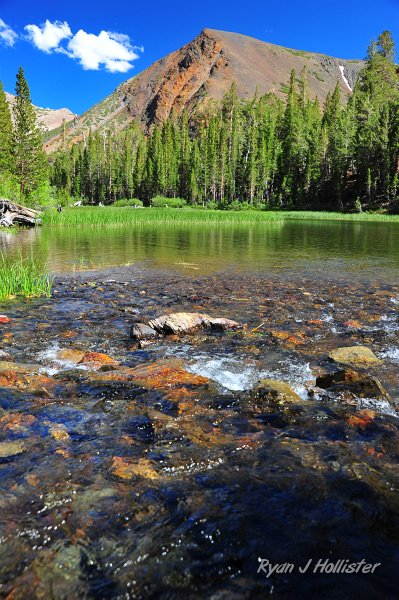 RJH_4170.JPG - This section of  Virginia Creek ponded before heading on down ot Big Virginia Lake, making for great brookie fishing (even though they were small).