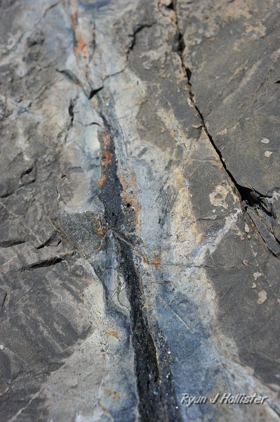 RJH_4182.JPG - Close-up of hydrothermal alteration.  The black stuff looks really schisty.