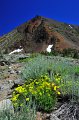 RJH_4163