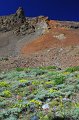 RJH_4172