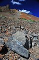 RJH_4180