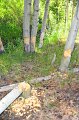 RJH_4190