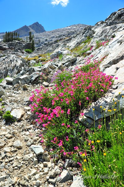 RJH_4962.JPG - Mountain pride