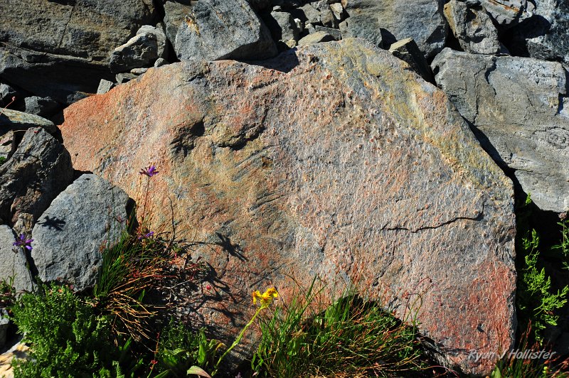 RJH_5057.JPG - Phyllite-like.