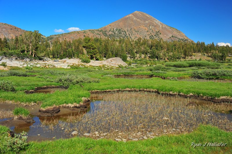 RJH_5059.JPG - Tioga Peak.