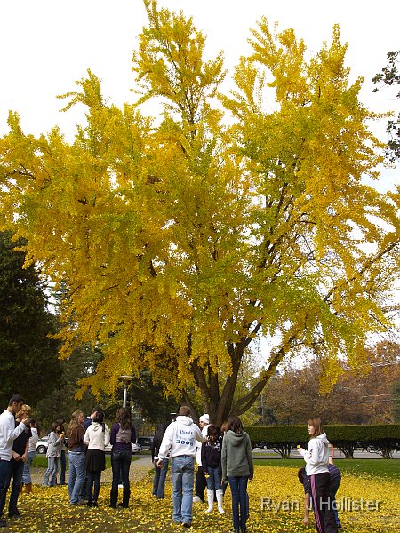 _C045738.JPG - 6th period witnessed more vibrant colors as the sun started to poke out.