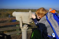 The spotting scope was old, but it helped-out our viewing since someone left the binoculars in the car - Zephyr! : san luis national wildlife refuge