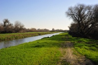 The Island Canal - the main source of water for the modern wetlands that are precisely controlled by floodgates, etc.  Ironically, the San Joaquin River channel is just beyond the left levee about 200 yards.  But it rarely has water these days. : san luis national wildlife refuge