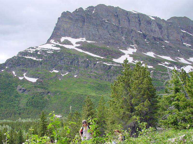 DSC00290.JPG - We had a semi-free day to explore.  We ended up going to Ptarmigan Falls because the Grinnell Glacier trail had been closed thanks to a momma grizzly mauling a hiker.