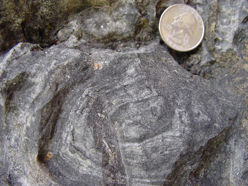 DSC00339.JPG - ..were fossils of stromatolites.  Some of the most ancient lifeforms on earth.  These organisms probably lived between 800 and 1600 million years ago.