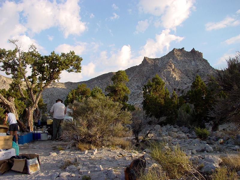 DSC00661.JPG - Everyone set-up camp quickly to provide more time for Topaz Hunting.