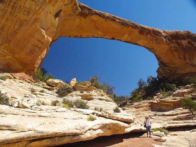 _6213080.JPG - Owachomo Bridge carved out of the Cedar Mesa Sandstone. Dimensions (feet/meters)Height: 106/32Span: 180/55Width: 27/8Thickness: 9/3