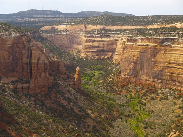 _6233315.JPG - The Wingate Sandstone Cliffs make this park unique.