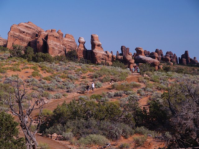 _6243383.JPG - Landscape Arch Trail