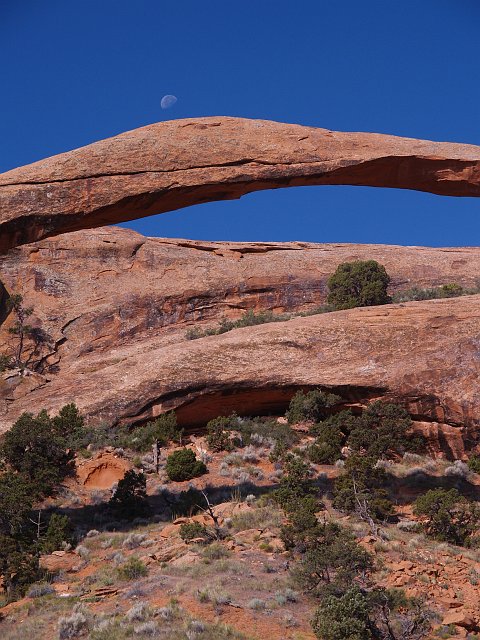 _6243389.JPG - I had fun playing with the moon's position.