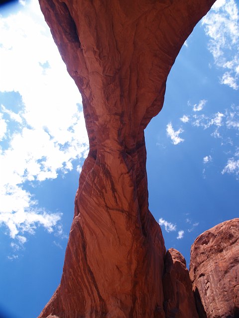 _6243425.JPG - Back with camera in hand, I looked up at this.