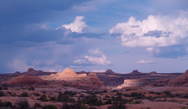 _6243529.JPG - Laura's roadside photography captured this light.