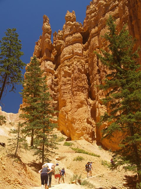 _6273855.JPG - Navajo Loop Trail (Those people make it look hard!)