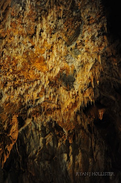 RJH_6146.JPG - Beautiful ceiling.